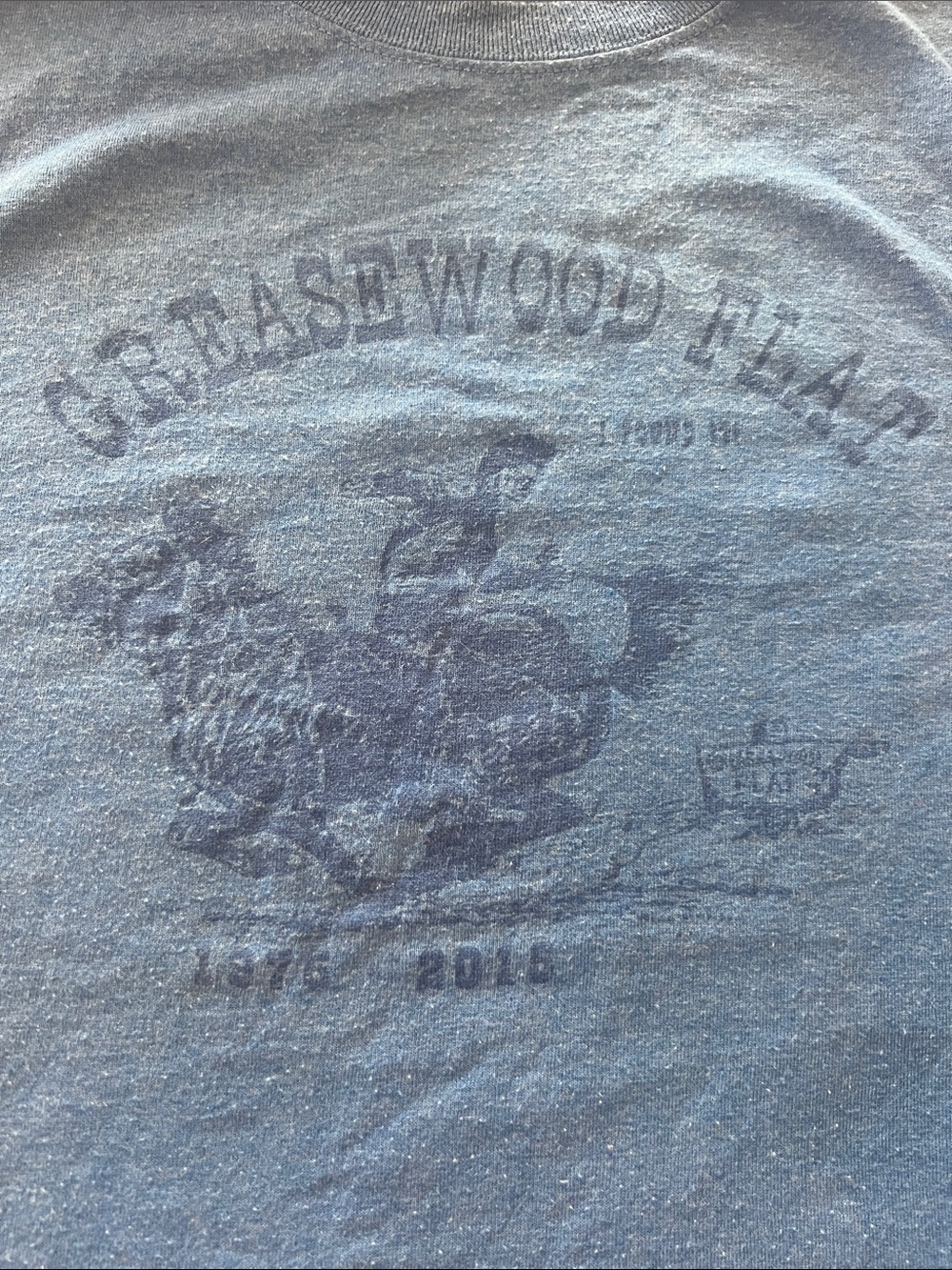Greasewood Flat Arizona country bar 2015 Graphic Short Sleeve Tee - Blue